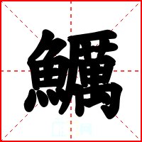 鱱