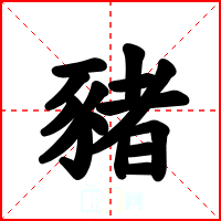 豬