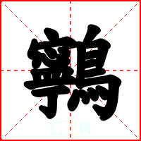 鸋