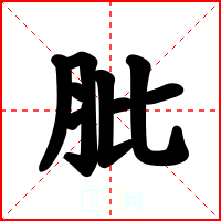 肶