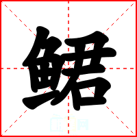 鲪