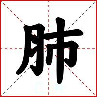 肺