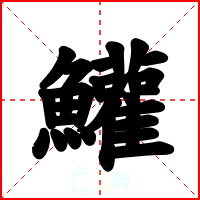 鱹