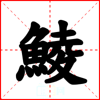 鯪