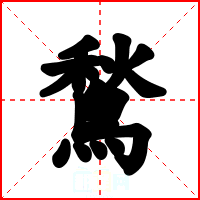 鶖