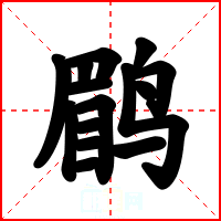 鹛