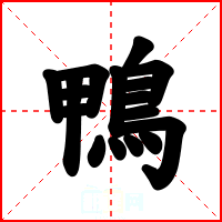 鴨