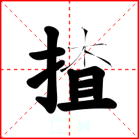 揸