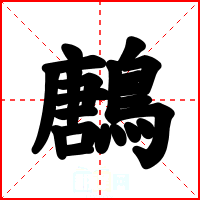 鶶