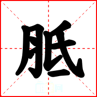 胝