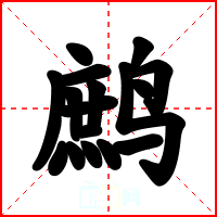 鹧