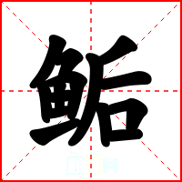 鲘