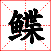 鲽