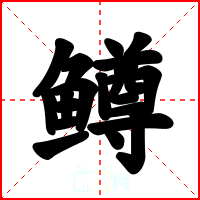 鳟