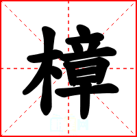 樟