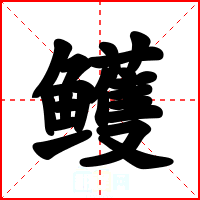 鳠