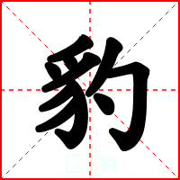 豹