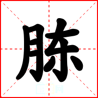 胨