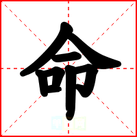 命