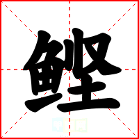 鲣