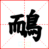鴯