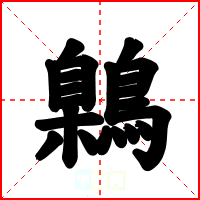 鷍