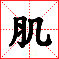 肌