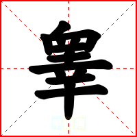 睾