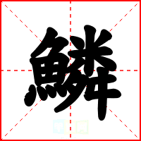 鱗