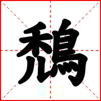 鵚
