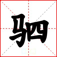 驷