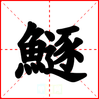 鱁