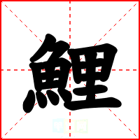 鯉