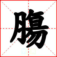 膓