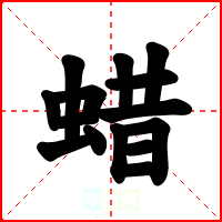 蜡