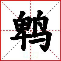 鹎