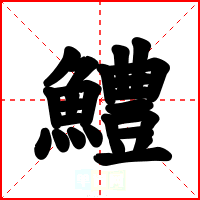 鱧