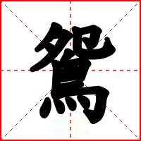 鴛