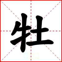 牡