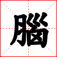 腦