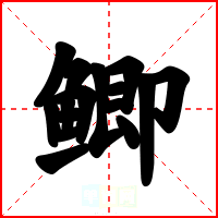 鲫