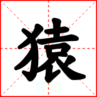 猿