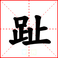 趾
