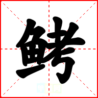 鲓
