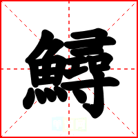 鱘
