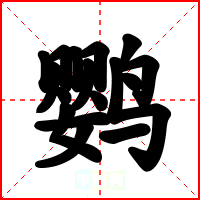 鹦