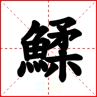 鰇