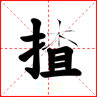 揸
