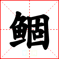 鲴