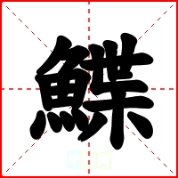 鰈